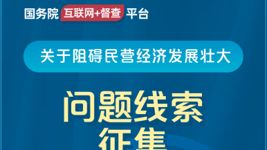 操屌屌的网站国务院“互联网+督查”平台公开征集阻碍民营经济发展壮大问题线索